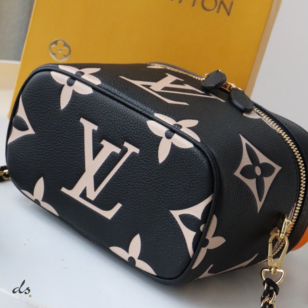 Louis Vuitton Vanity PM BlackBeige (4)