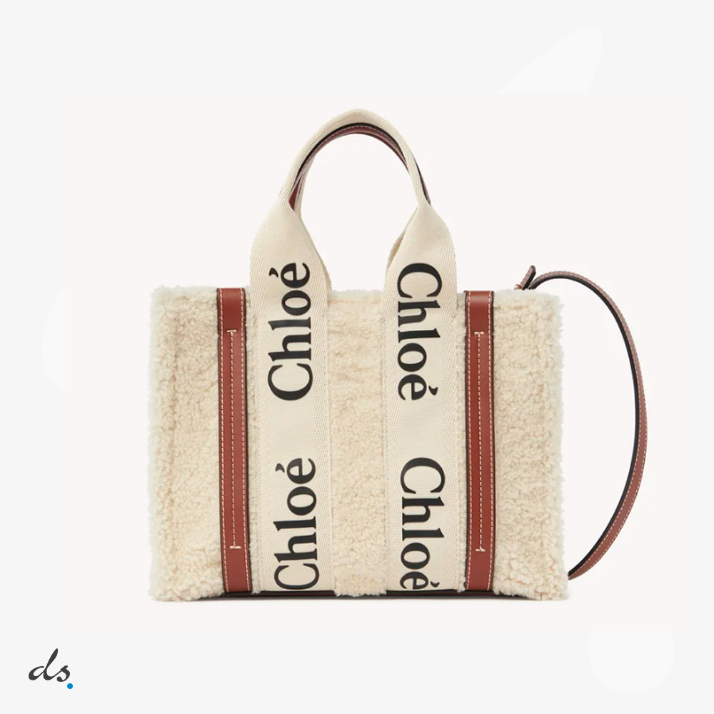Chloe small woody tote bag with strap (1)