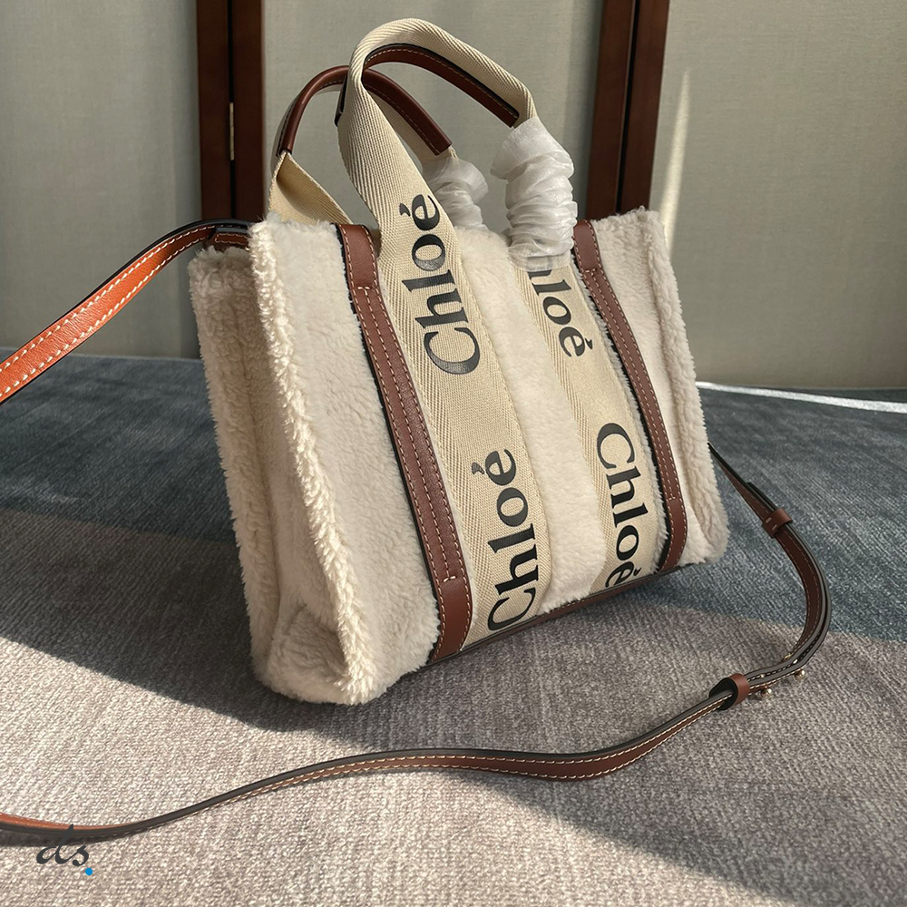 Chloe small woody tote bag with strap (3)