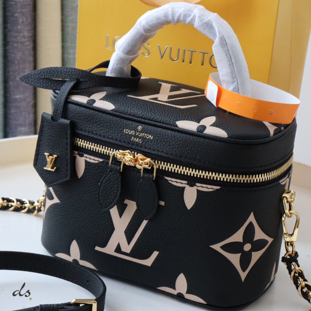 Louis Vuitton Vanity PM BlackBeige (2)