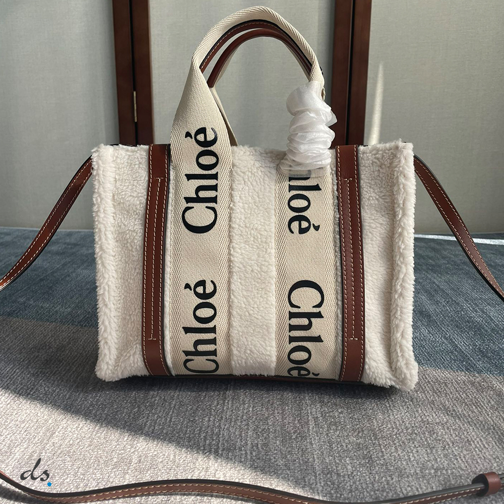 Chloe small woody tote bag with strap (2)