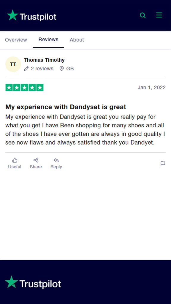 trustpilot review for dandyset