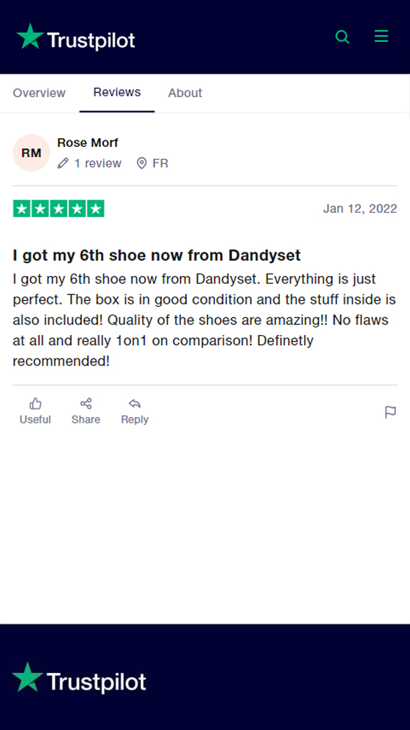 trustpilot review for dandyset
